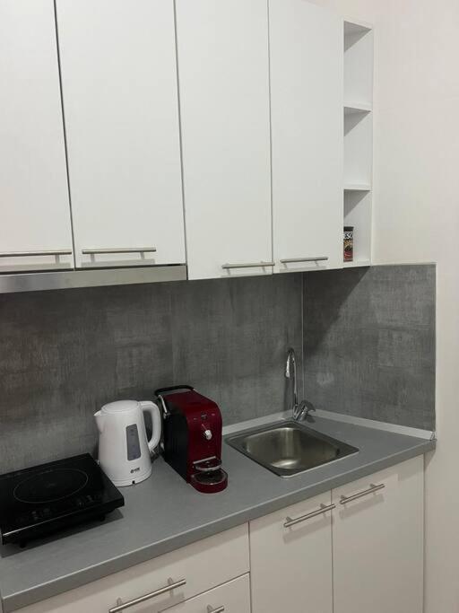 Sany Center Apartment Белград Экстерьер фото